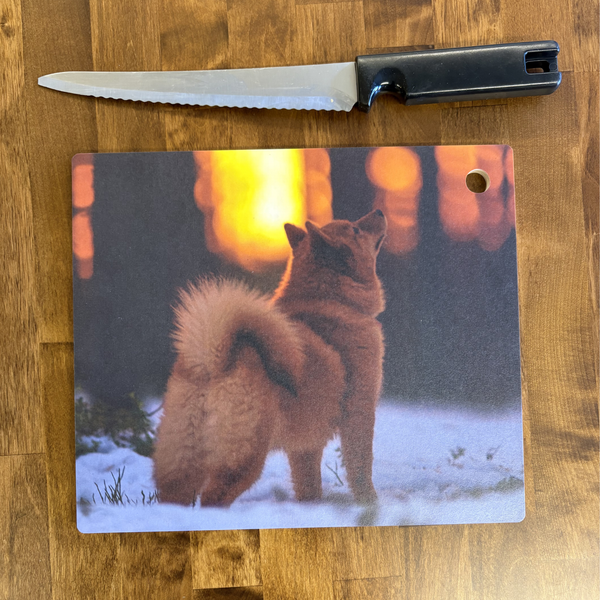 Suomen pystykorva -leikkuualusta