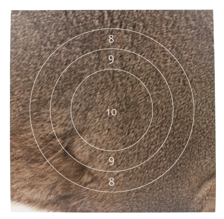 Valkohäntäpeurataulu, keskiö